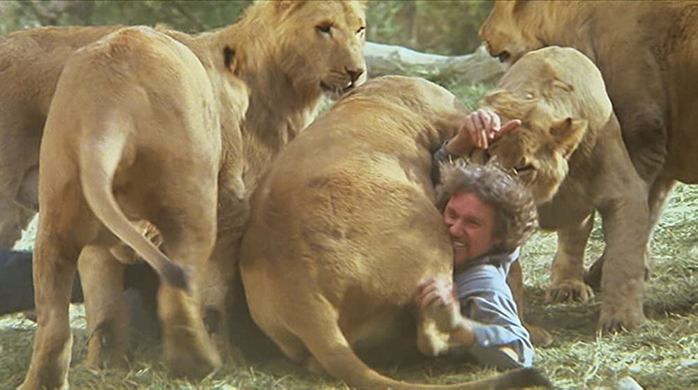 ロアーズの画像