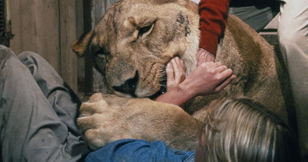 ロアーズの画像