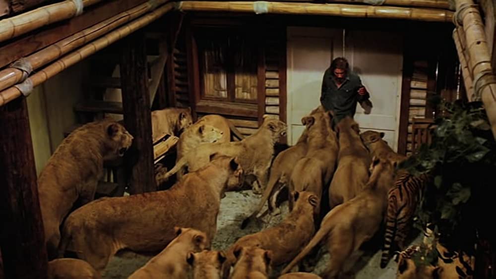 ロアーズの画像