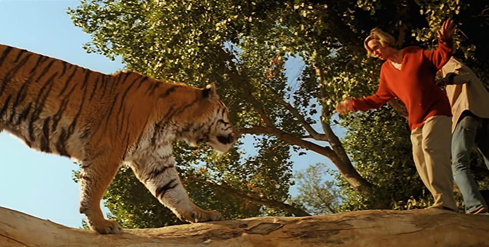 ロアーズの画像