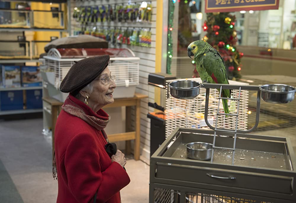 グランピーキャットの最低で最高のクリスマスの画像