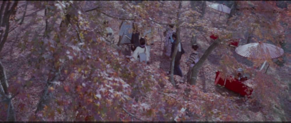 ポルノ時代劇 忘八武士道の画像