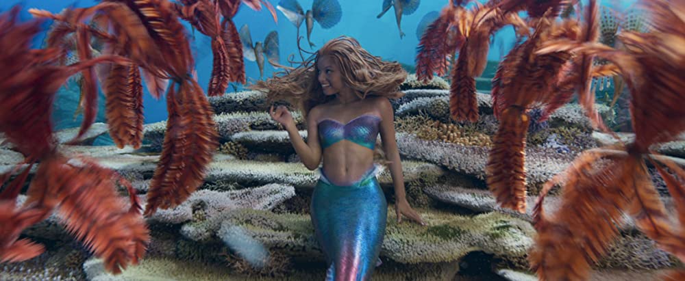 リトル・マーメイドの画像