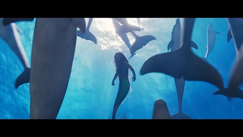 リトル・マーメイドの画像