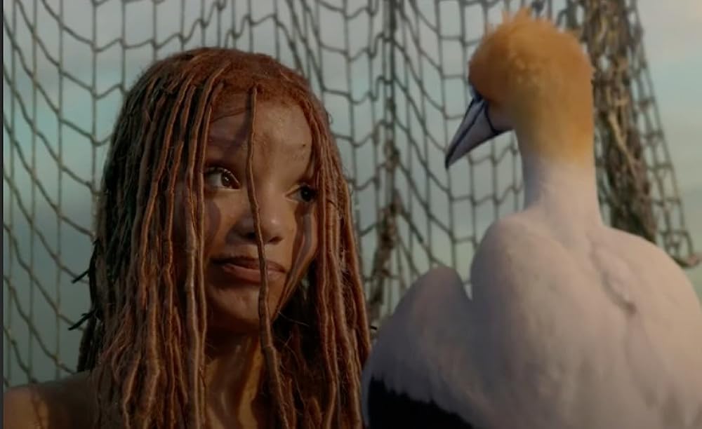 リトル・マーメイドの画像