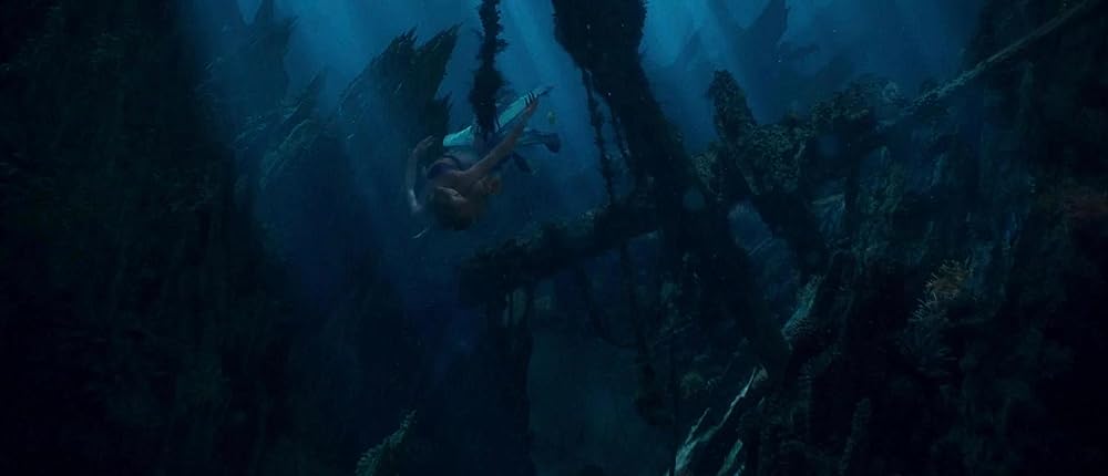 リトル・マーメイドの画像