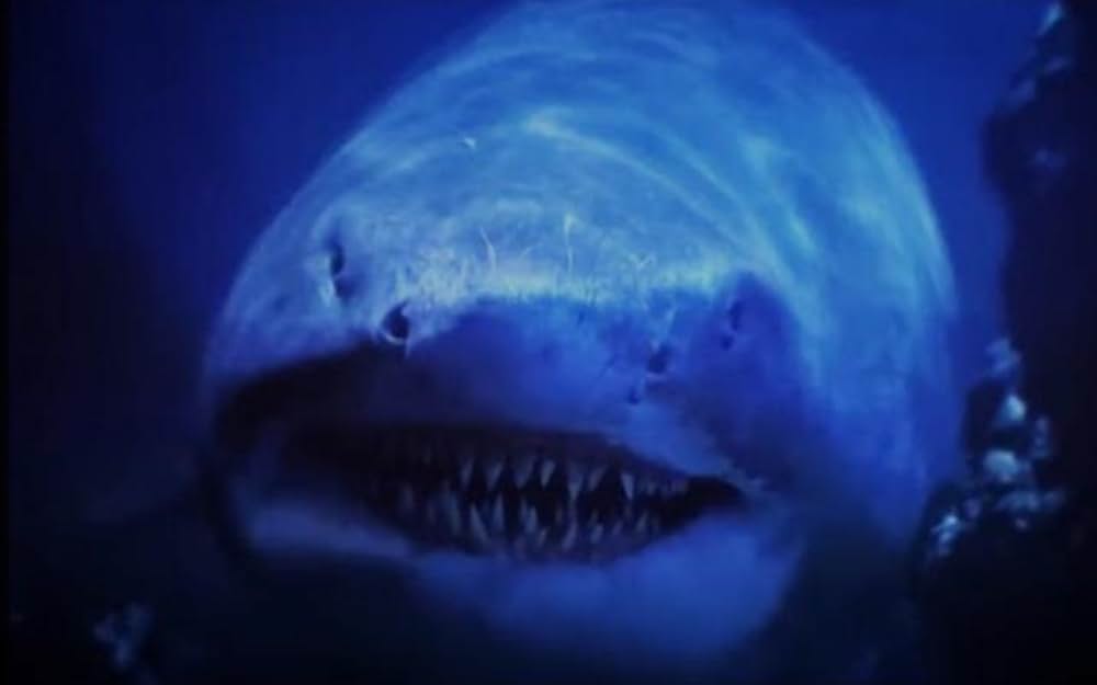 リトル・マーメイドの画像