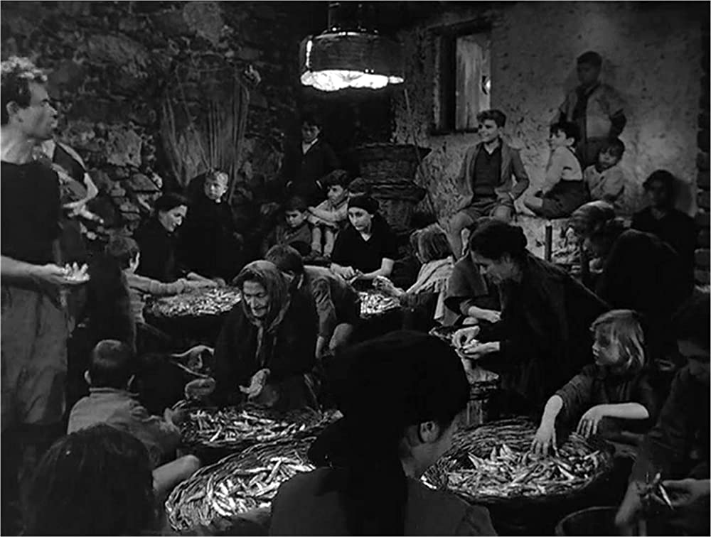 「揺れる大地」の画像