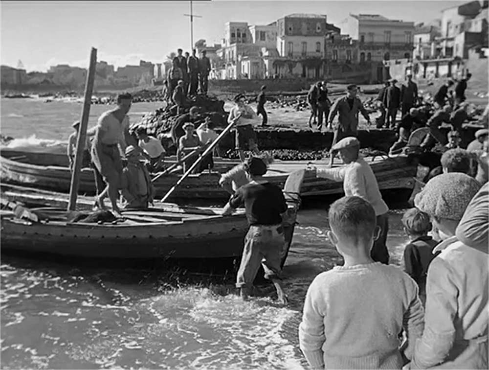 「揺れる大地」の画像