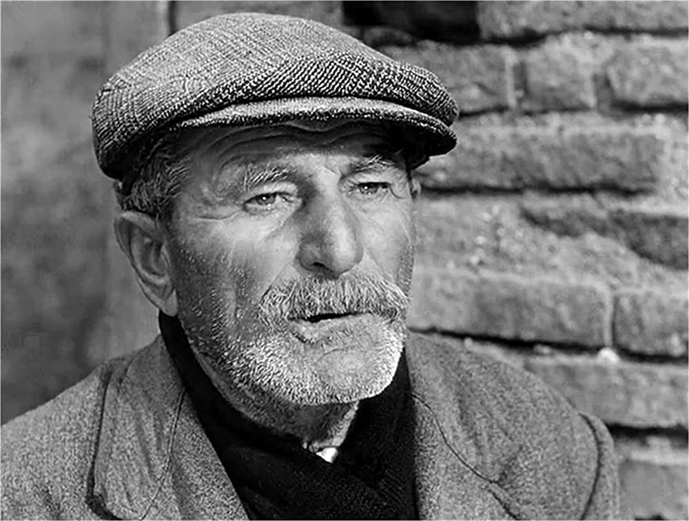 「揺れる大地」の画像