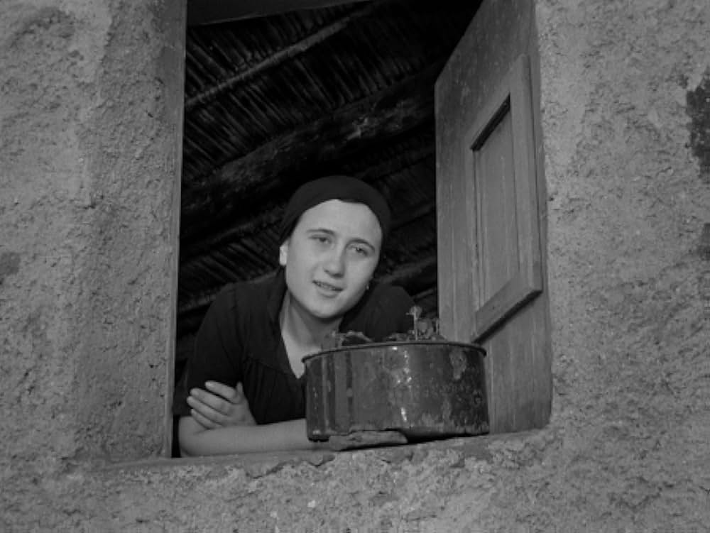 「揺れる大地」の画像