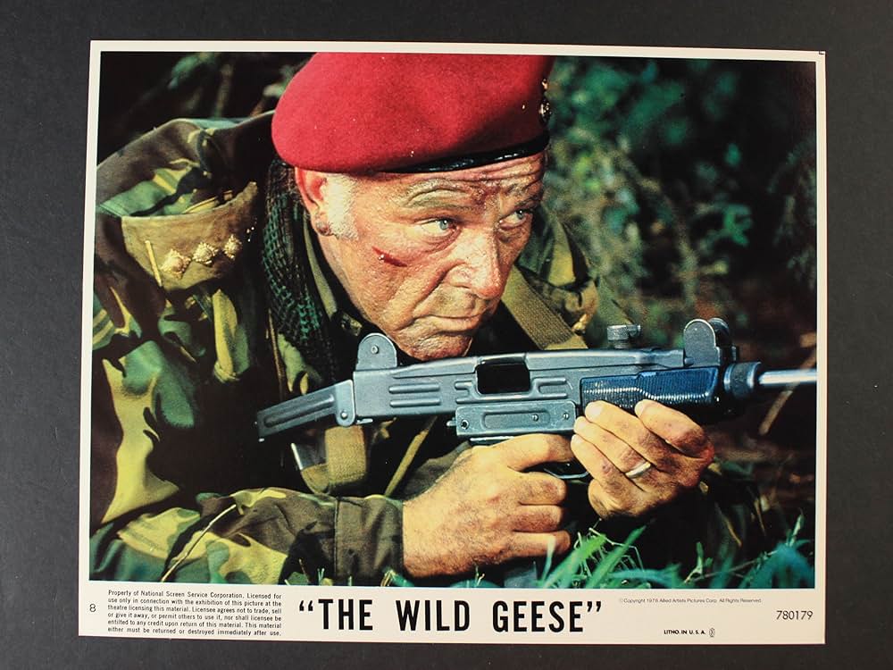 ワイルド・ギースの画像