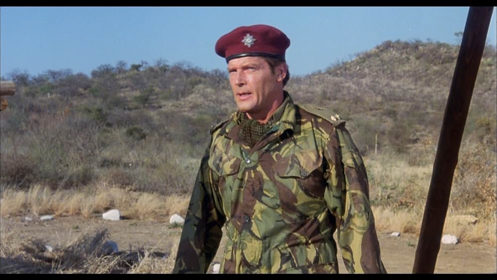 ワイルド・ギースの画像