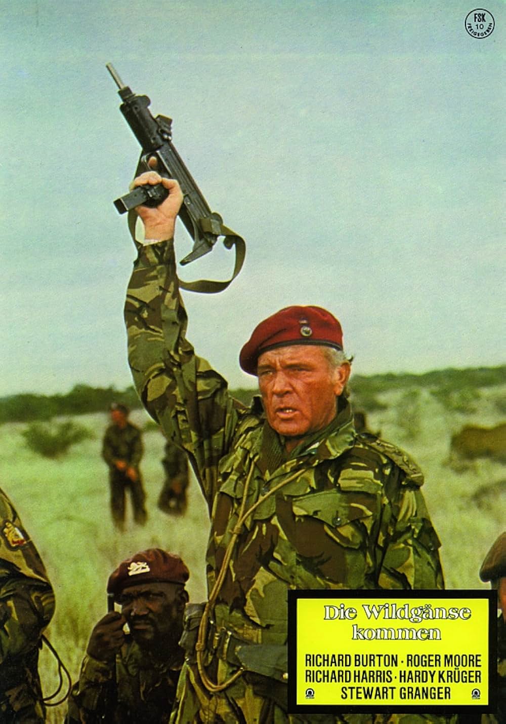 ワイルド・ギースの画像