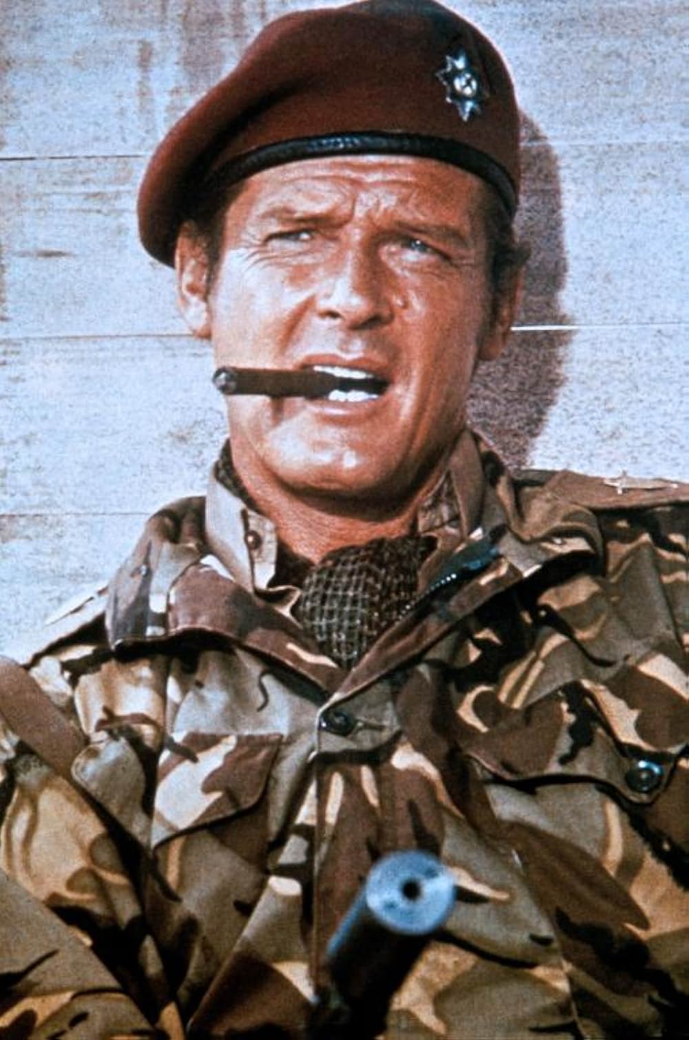 ワイルド・ギースの画像