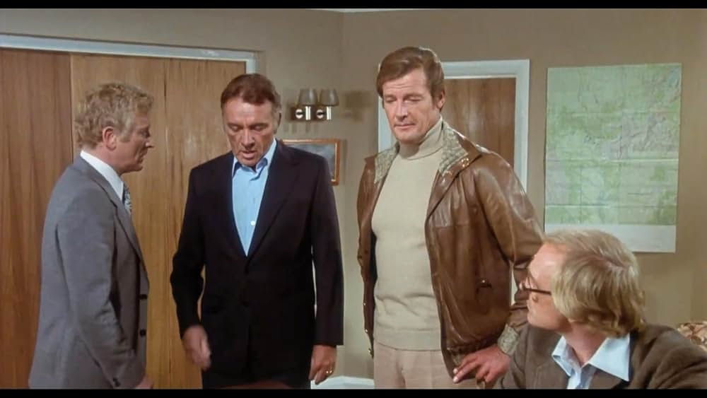 ワイルド・ギースの画像