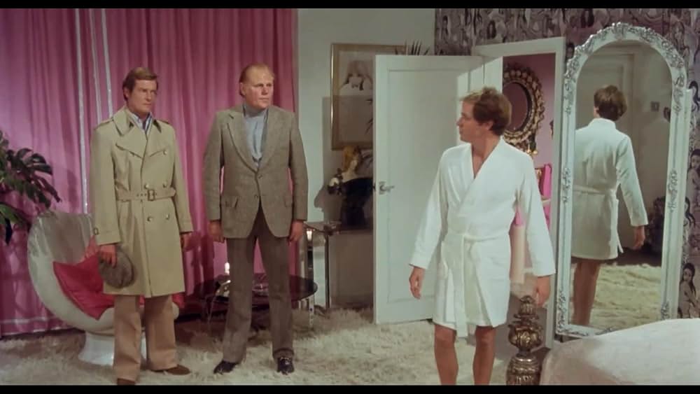 ワイルド・ギースの画像