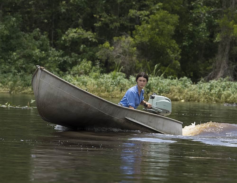 ザリガニの鳴くところの画像