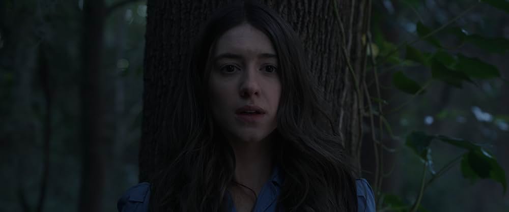 ザリガニの鳴くところの画像