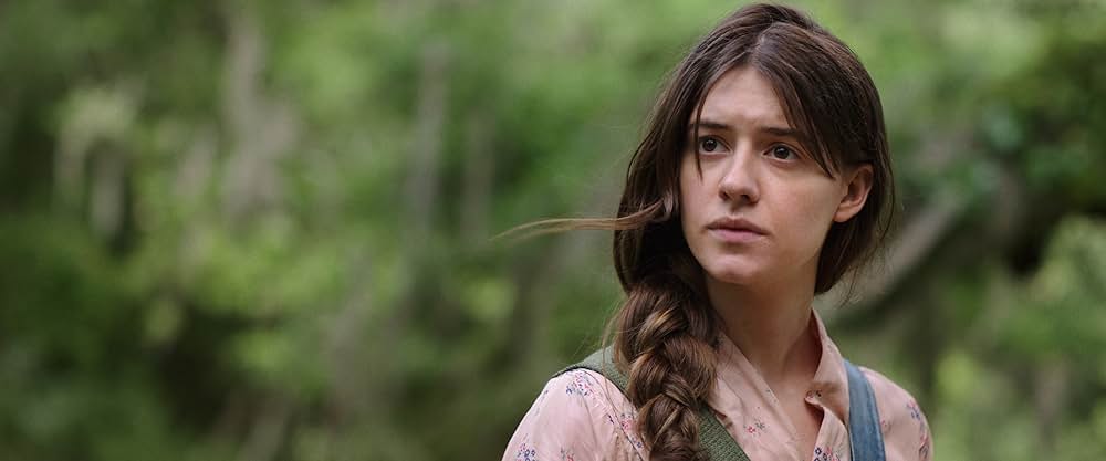 ザリガニの鳴くところの画像