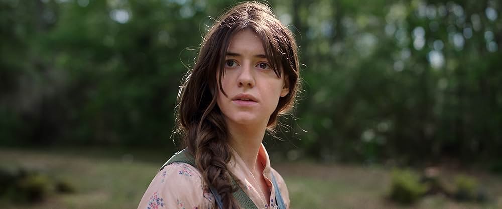 ザリガニの鳴くところの画像