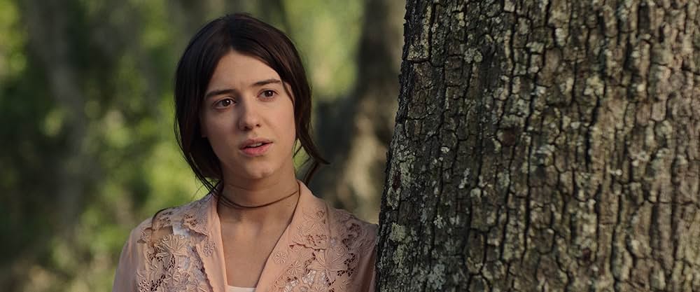 ザリガニの鳴くところの画像