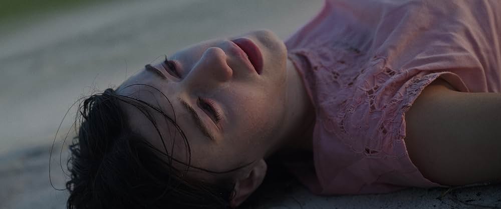 ザリガニの鳴くところの画像