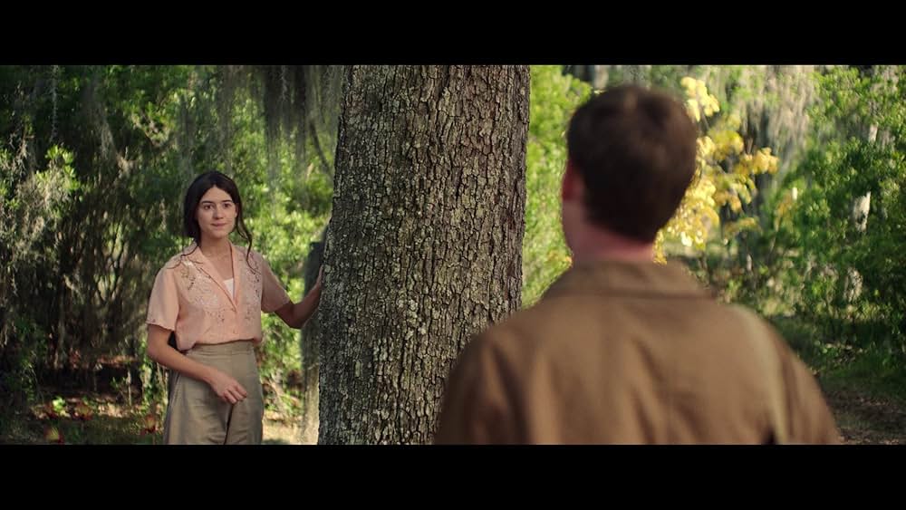 ザリガニの鳴くところの画像