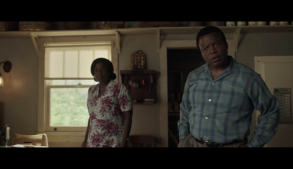 ザリガニの鳴くところの画像