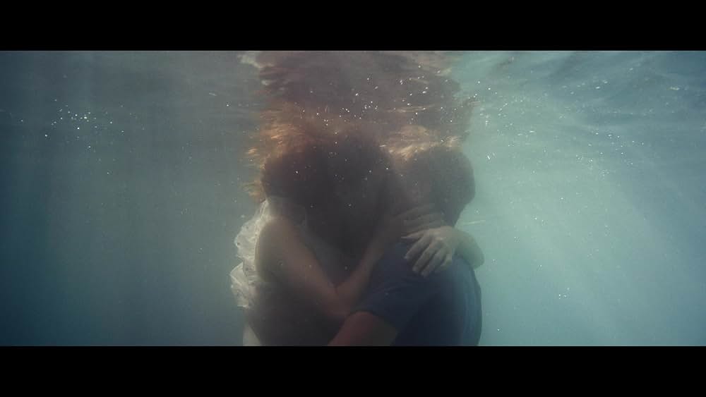 ザリガニの鳴くところの画像