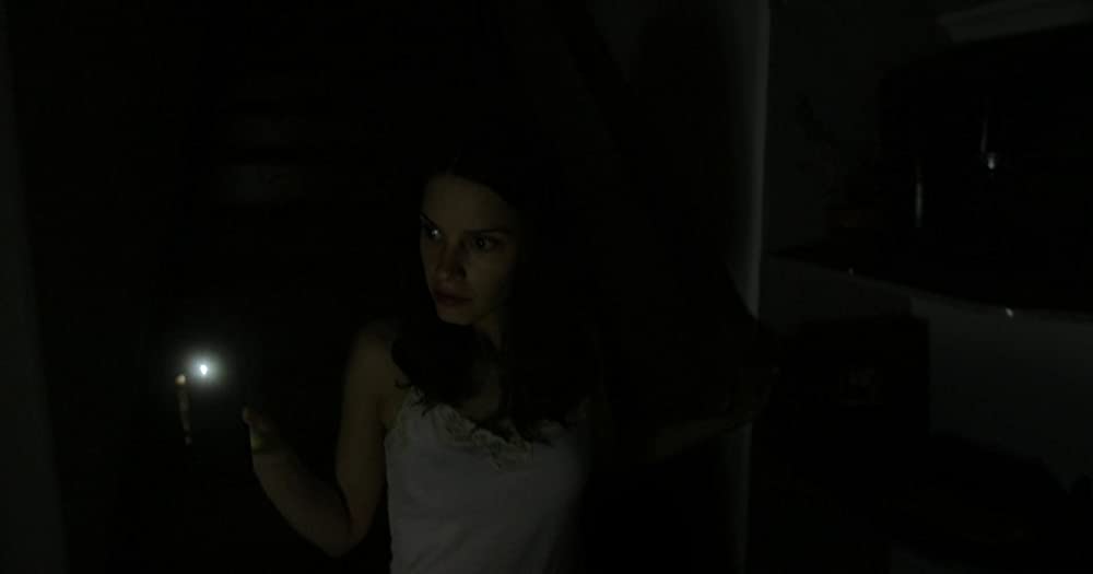 呪いの怨恨 エコーズ・オブ・フィアーの画像