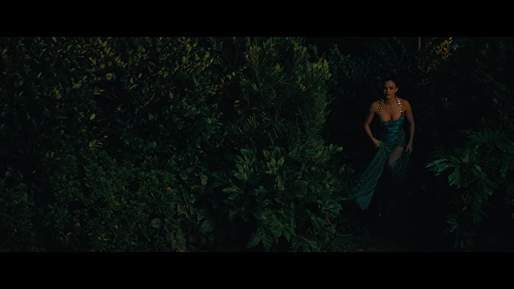 リベンジ・スワップの画像