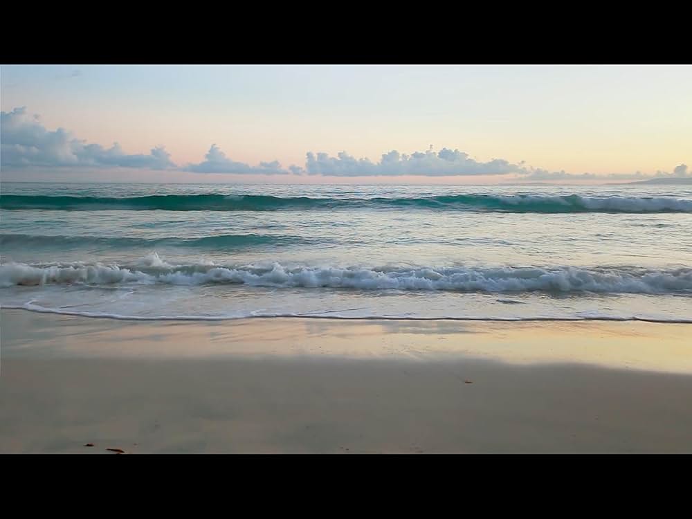 ファイブヘッド・ジョーズの画像