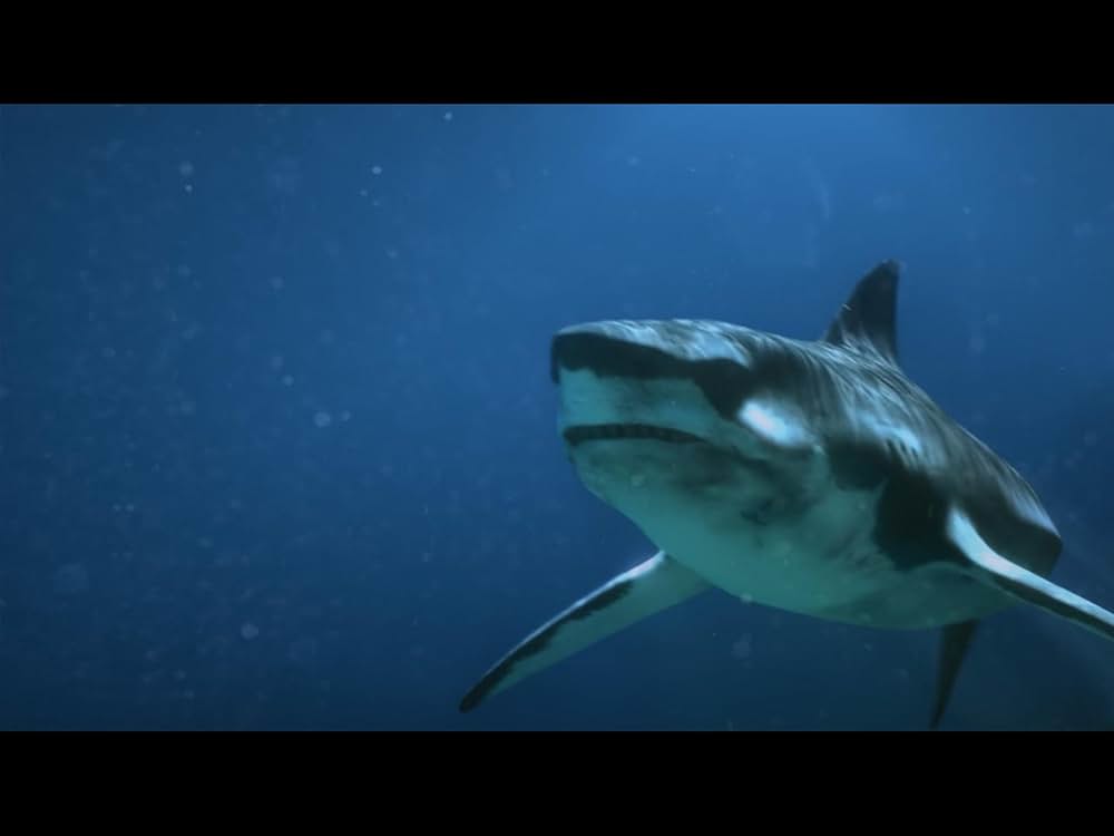 ファイブヘッド・ジョーズの画像