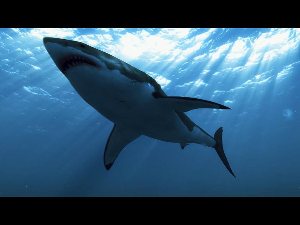 ファイブヘッド・ジョーズの画像