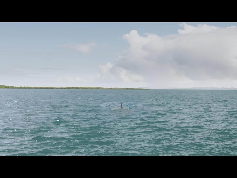 ファイブヘッド・ジョーズの画像