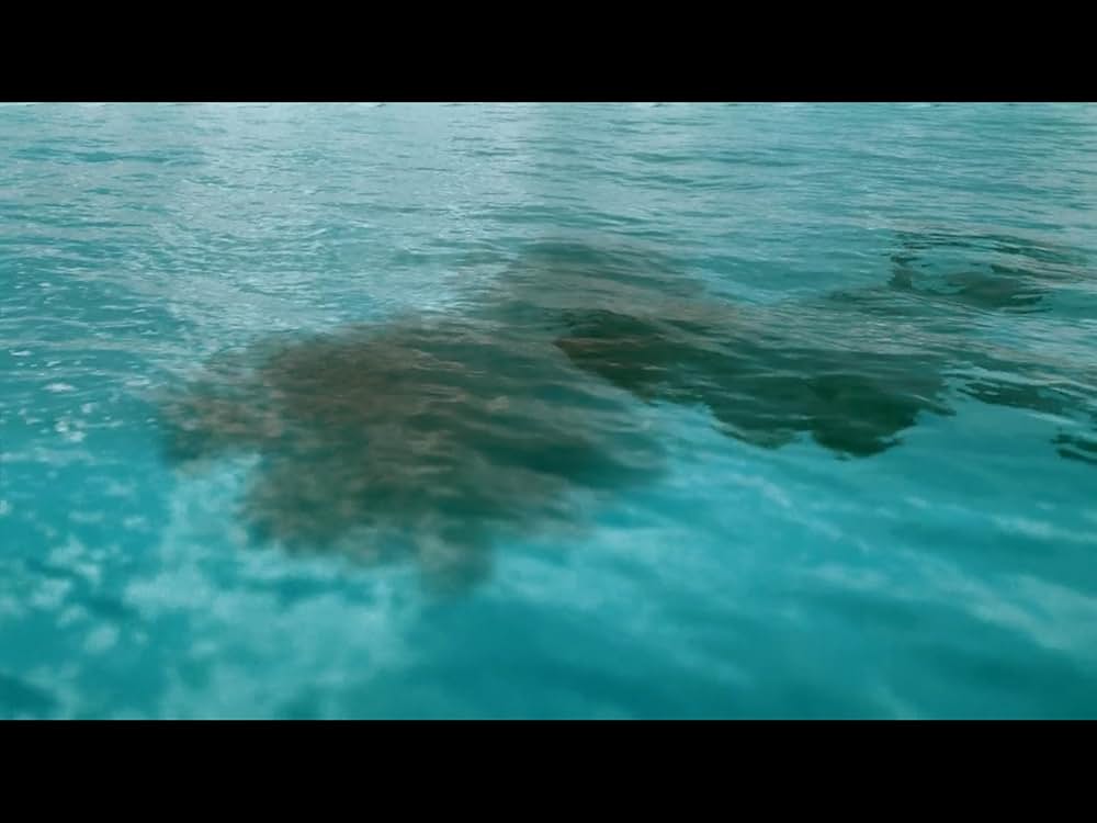 ファイブヘッド・ジョーズの画像