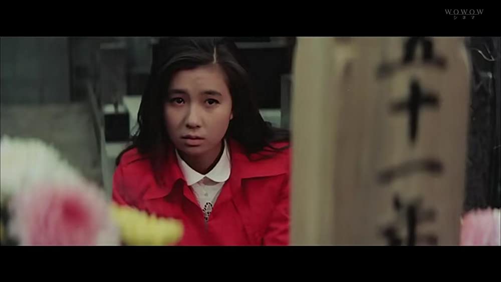 さらば夏の光よの画像