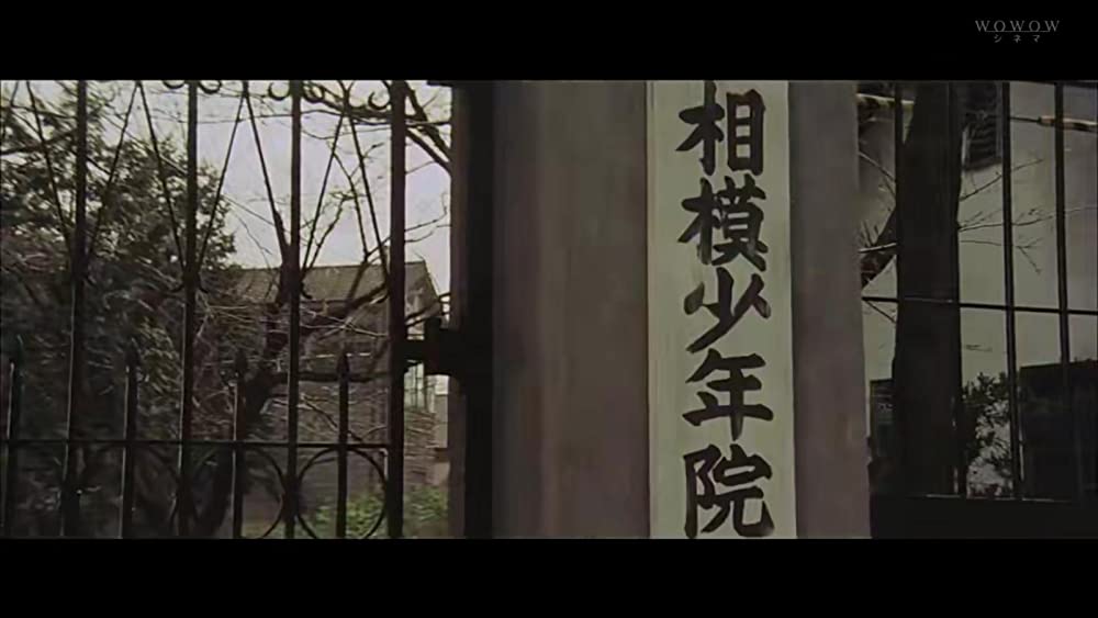 さらば夏の光よの画像