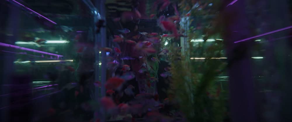 「バルド、偽りの記録と一握りの真実」ダニエル・ヒメネス・カチョの画像