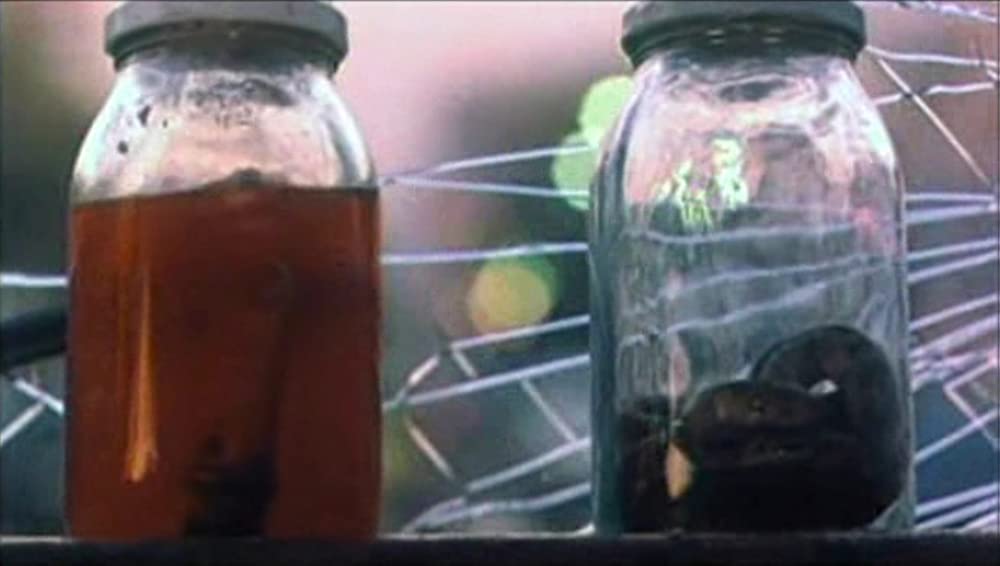 砂塵にさまようの画像