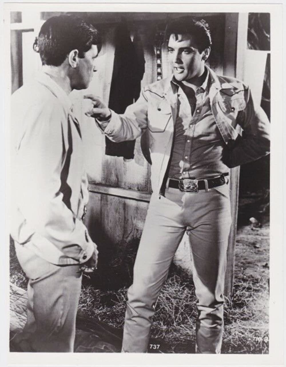 「いかすぜ！この恋」エルビス・プレスリーの画像