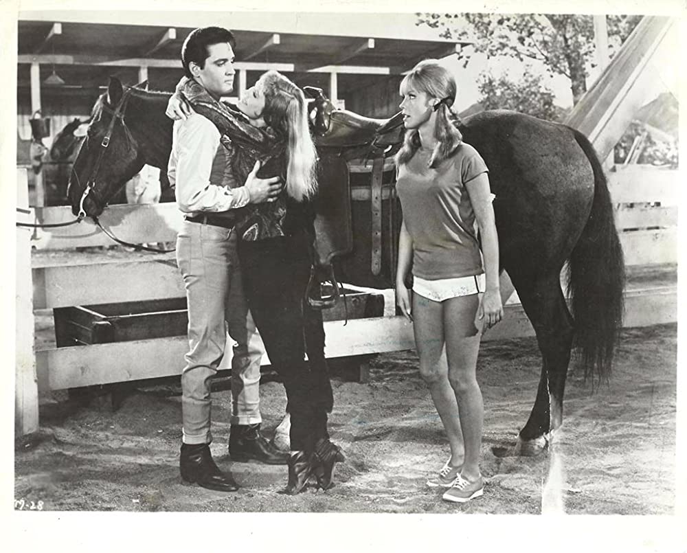 いかすぜ！この恋の画像