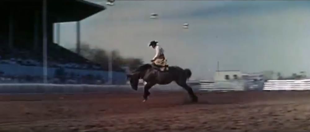 いかすぜ！この恋の画像