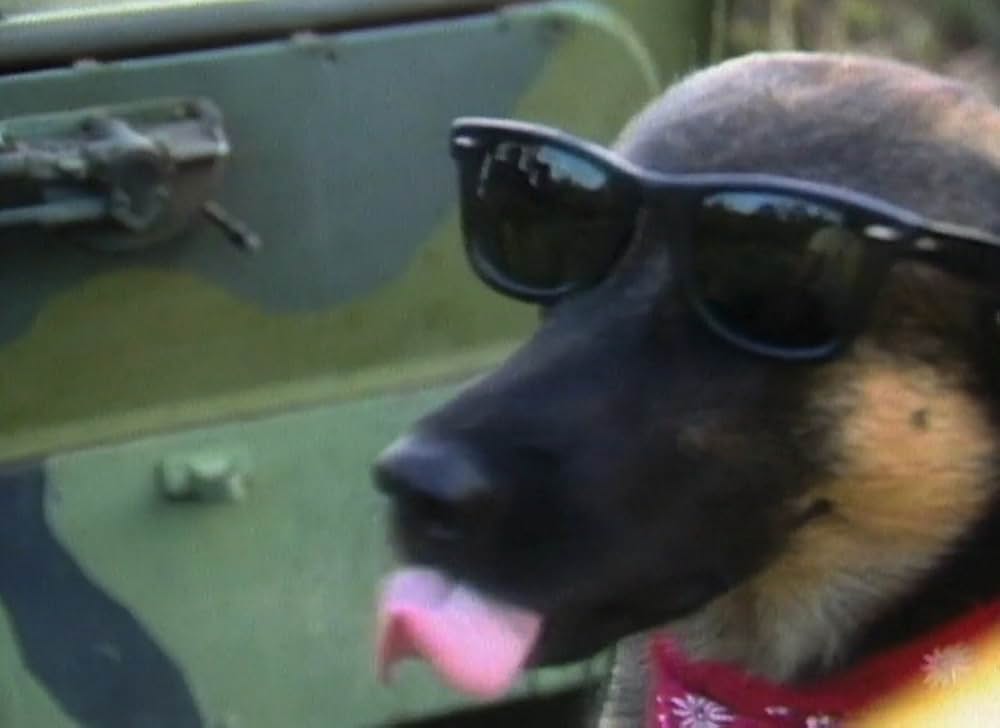 悪魔のゾンビ天国の画像