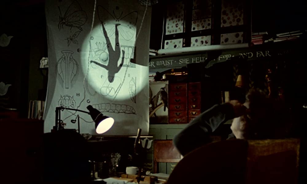 「ワンダーウォール」ジャック・マッゴーランの画像