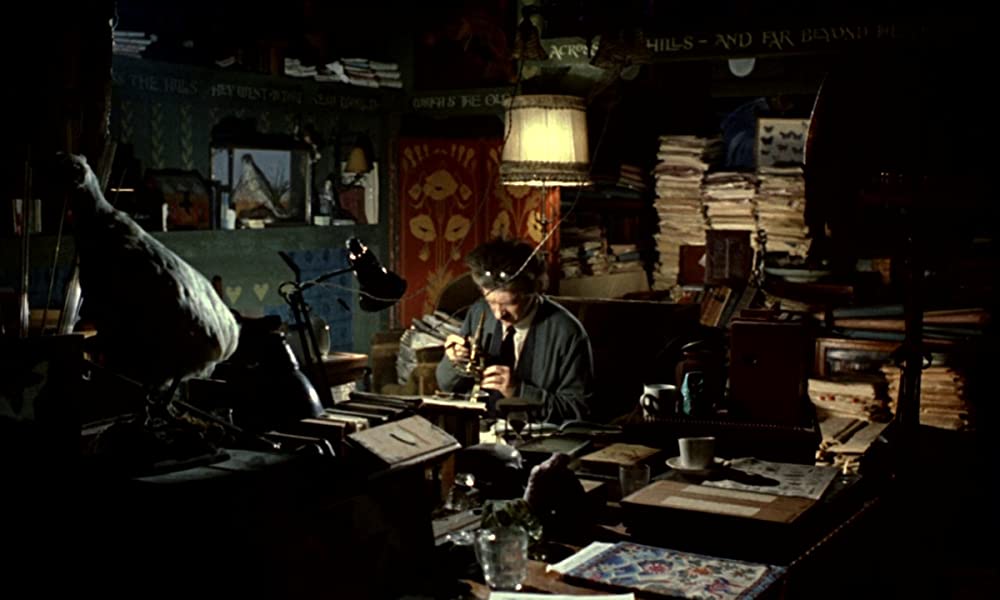 ワンダーウォールの画像