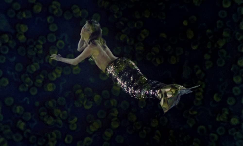 ワンダーウォールの画像