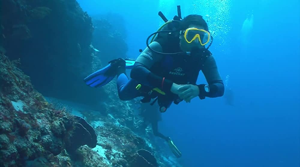 シャーケンシュタイン／フランケンジョーズの画像