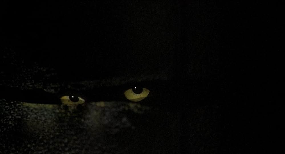 インフェルノの画像